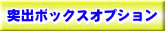 突出ボックスオプション